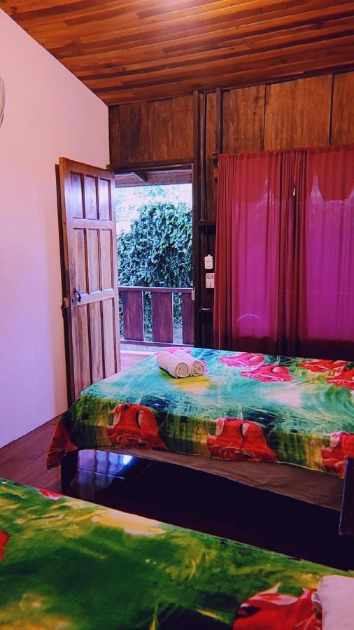 Alpha Arenal Pansiyon La Fortuna Dış mekan fotoğraf