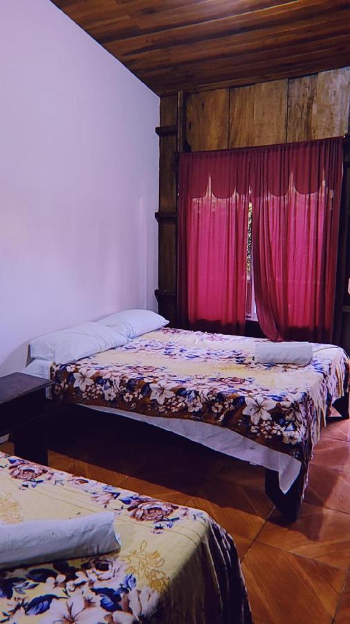 Alpha Arenal Pansiyon La Fortuna Dış mekan fotoğraf