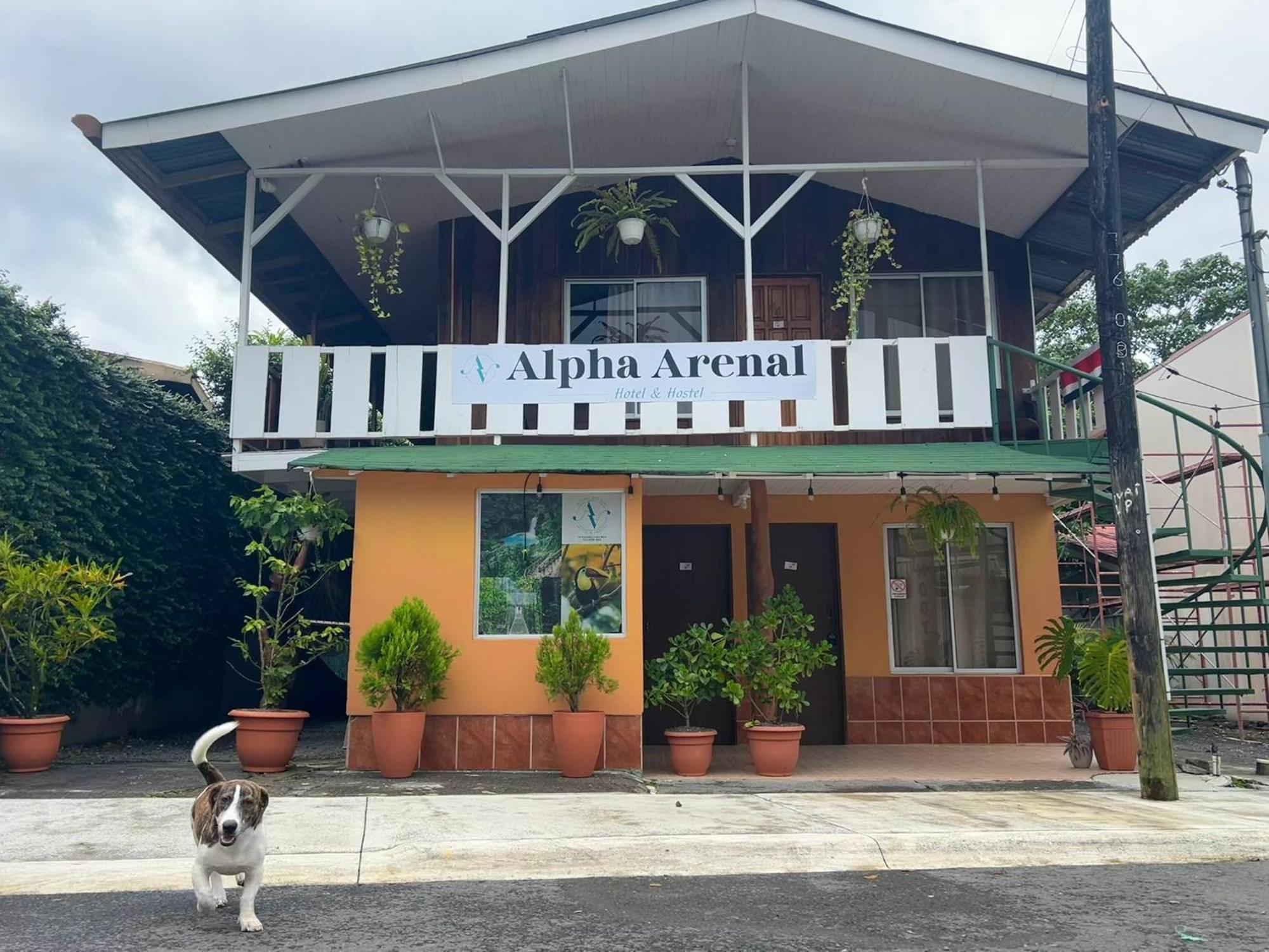 Alpha Arenal Pansiyon La Fortuna Dış mekan fotoğraf